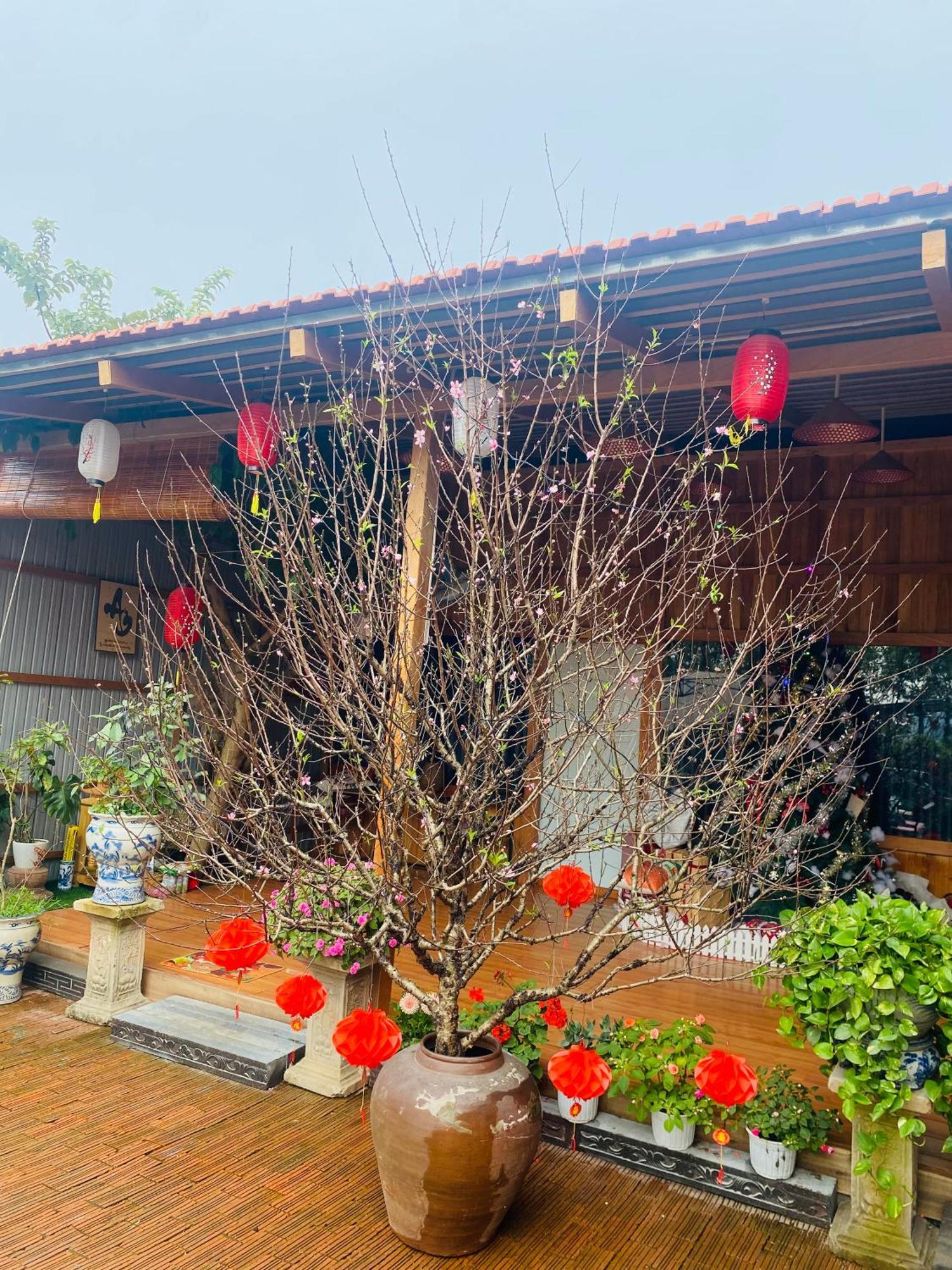 An Homestay Tam Coc Ниньбинь Экстерьер фото