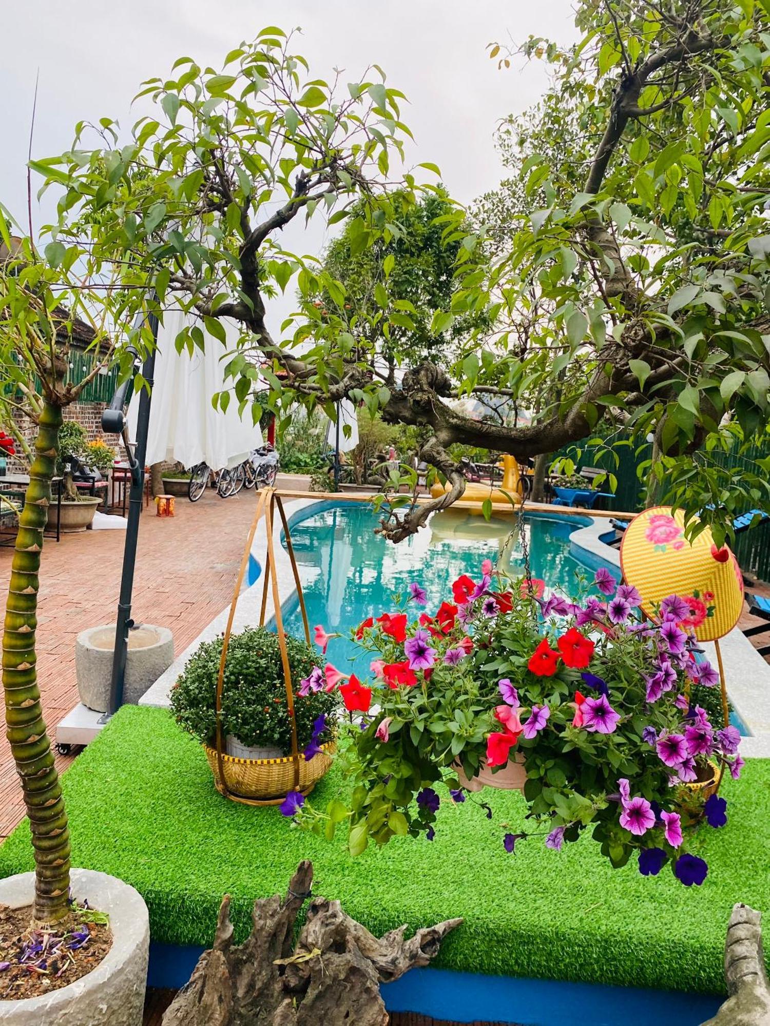 An Homestay Tam Coc Ниньбинь Экстерьер фото